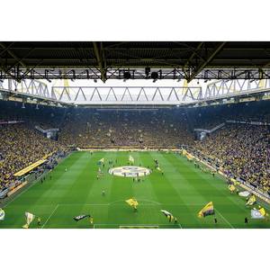 Fotobehang Dortmund Stadion - 3,66cm x 2,54cm
