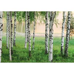 Papier peint Nordic Forest - Vert / Blanc / Beige - 3,66 x 2,54 cm