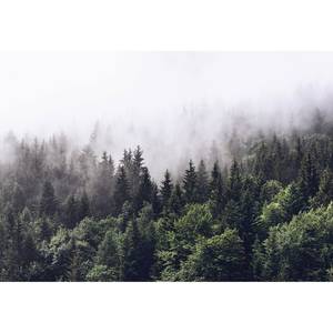 Papier peint Forêt dans la brume - Vert / Blanc - 3,66 x 2,54 cm