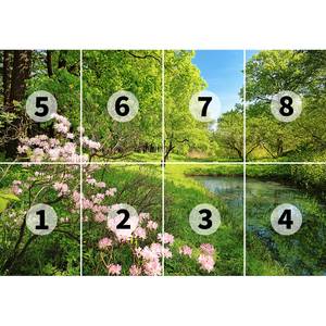 Fotomurale Spring - Verde / Blu / Rosa - 3,66cm x 2,54cm