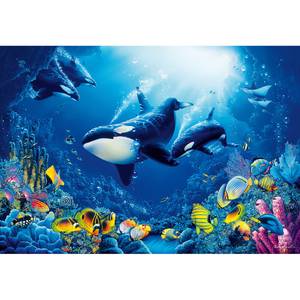 Fototapete Unterwasser Tiere Papier - Mehrfarbig