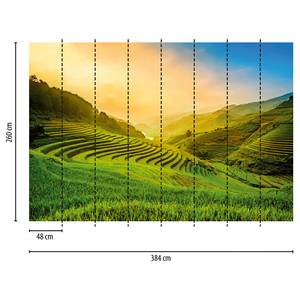 Fotomurale Campo di riso Tessuto non tessuto - Verde / Blu / Giallo - 3,84cm x 2,6cm