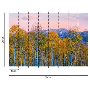 Fotomurale Foresta II Tessuto non tessuto -  3,84cm x 2,6cm