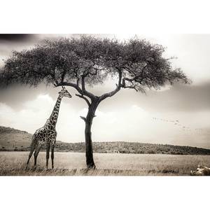 Papier peint Girafe Safari Intissé - Noir / Gris / Blanc - 3,84 x 2,6 cm - Largeur : 3.8 cm