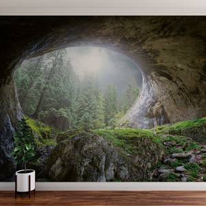 Fototapete Höhle im Wald Vlies - Grün / Grau / Braun