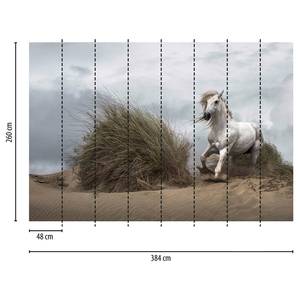 Fotobehang Paard Strand vlies - wit / grijs / groen - 3,84cm x 2,6cm