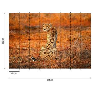 Fototapete Leopard Safari Vlies - Orange - Breite: 384 cm