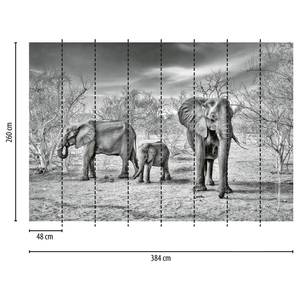 Fotobehang Elephant Family vlies - zwart / wit / grijs - 3,84cm x 2,6cm