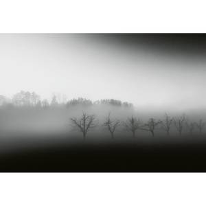 Fotobehang Bos Mist II vlies - zwart / wit / grijs - 3,84cm x 2,6cm