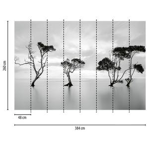Fototapete Bäume im See Vlies - Schwarz / Weiß / Grau