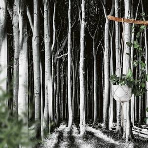 Fotomurale Ghost Forest Tessuto non tessuto - Nero / Bianco - 3,84cm x 2,6cm - Larghezza: 3.8 cm