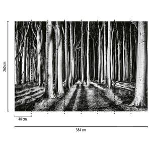 Fotomurale Ghost Forest Tessuto non tessuto - Nero / Bianco - 3,84cm x 2,6cm - Larghezza: 3.8 cm