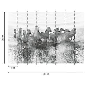 Fototapete Pferde Tiere Vlies - Grau / Weiß