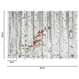 Fototapete Birkenwald III Vlies - Grau / Weiß / Rot