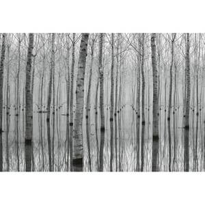 Fotomurale Foresta in bianco e nero Tessuto non tessuto - Nero / Bianco - 3,84cm x 2,6cm