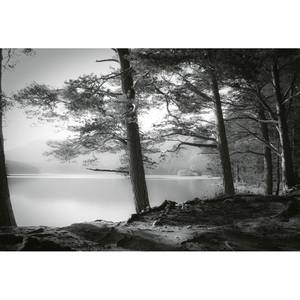 Fototapete Forest Lake Vlies - Grau / Schwarz