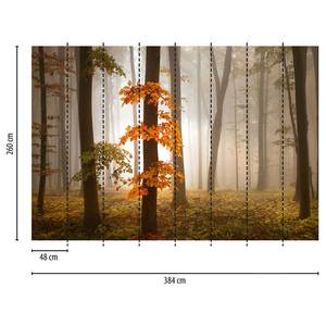 Fotomurale Foresta in autunno Tessuto non tessuto - Arancione / Beige / Marrone - 3,84cm x 2,6cm