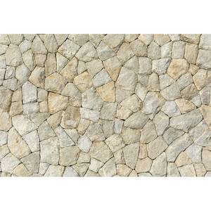 Papier peint Natural Stone Wall Intissé - 3,84 x 2,6 cm