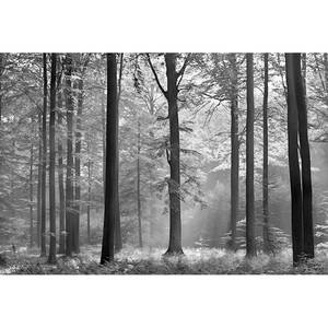Fototapete Wald Baum Vlies - Schwarz / Weiß