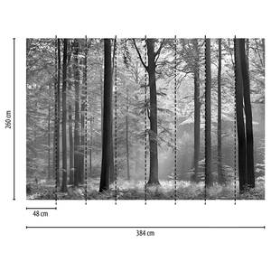 Fototapete Wald Baum Vlies - Schwarz / Weiß