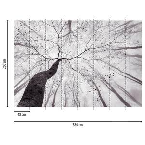 Fotomurale Inside the Trees Tessuto non tessuto - Nero / Bianco - 3,84cm x 2,6cm