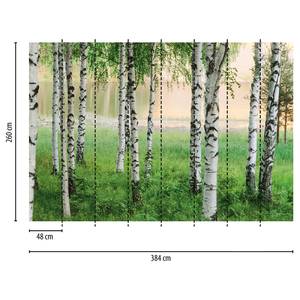 Papier peint Nordic Forest Intissé - Vert / Blanc / Marron - 3,84 x 2,6 cm