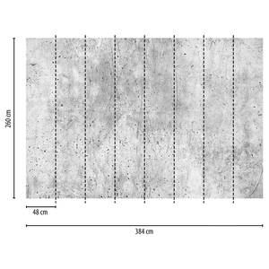 Fotomurale Muro di cemento Tessuto non tessuto -  3,84cm x 2,6cm - Larghezza: 3.8 cm