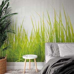 Papier peint High Grass Intissé - Vert / Blanc - 3,84 x 2,6 cm - Largeur : 384 cm