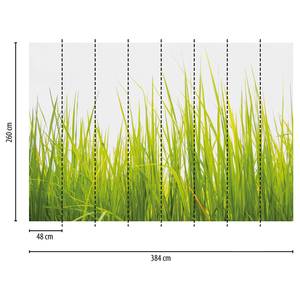 Fototapete High Grass Vlies - Grün / Weiß - Breite: 384 cm