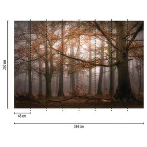 Fotobehang Foggy Autumn Forest vlies - 3,84cm x 2,6cm