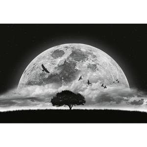 Fototapete Moon and Birds Vlies - Schwarz / Grau