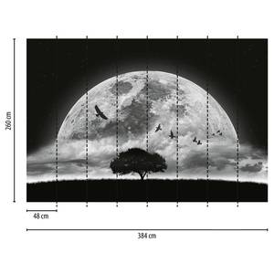 Fotobehang Moon and Birds vlies - zwart / grijs - 3,84cm x 2,6cm