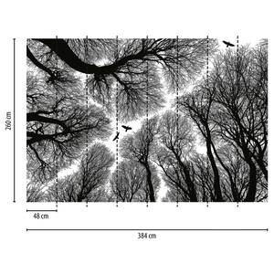 Fotomurale Foresta Tessuto non tessuto - Nero / Bianco - 3,84cm x 2,6cm