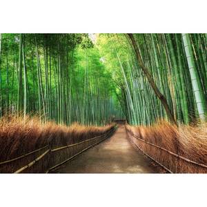 Fotobehang Bamboo Grove Kyoto vlies - groen / bruin - 3,84cm x 2,6cm
