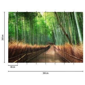 Fotomurale Bamboo Grove Kyoto Tessuto non tessuto - Verde / Marrone - 3,84cm x 2,6cm