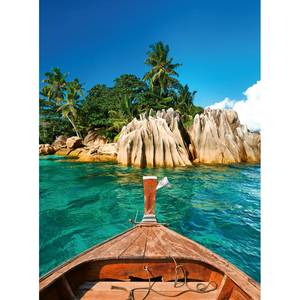 Fototapete St.Pierre Island Seychelles Vlies - Blau / Braun / Grün