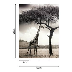 Fototapete Giraffe Safari Vlies - Schwarz / Grau / Weiß - Breite: 1.9 cm