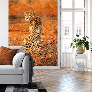 Fotobehang Leopard Safari vlies - 1,92cm x 2,6cm - Breedte: 192 cm