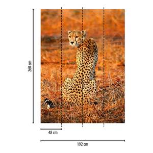 Fotobehang Leopard Safari vlies - 1,92cm x 2,6cm - Breedte: 192 cm