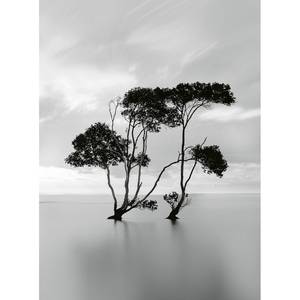 Fototapete Trees In Still Water Vlies - Schwarz / Weiß