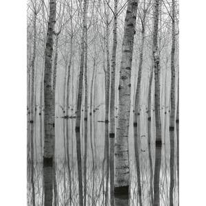 Fototapete Birch Forest In The Water Vlies - Schwarz / Weiß