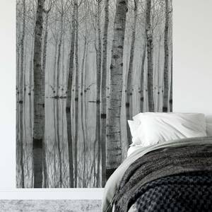 Fotomurale Birch Forest In The Water Tessuto non tessuto - Nero / Bianco - 1,92cm x 2,6cm