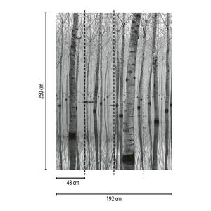 Fotobehang Birch Forest In The Water vlies - zwart / wit - 1,92cm x 2,6cm
