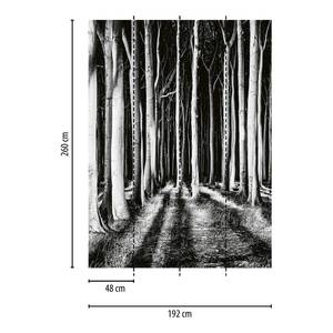 Fotomurale Ghost Forest Tessuto non tessuto - Nero / Bianco - 1,92cm x 2,6cm - Larghezza: 1.9 cm