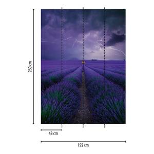 Fotomurale Field of Lavender Tessuto non tessuto -  1,92cm x 2,6cm - Larghezza: 1.9 cm