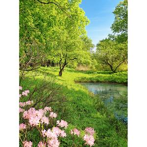 Fotobehang Park in the Spring vlies - groen / bruin / roze - 1,92cm x 2,6cm