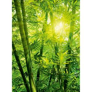 Fotomurale Foresta di bambù Tessuto non tessuto -  1,92cm x 2,6cm
