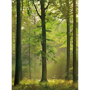 Fotobehang Forest vlies - groen / bruin - 1,92cm x 2,6cm
