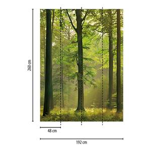 Fotobehang Forest vlies - groen / bruin - 1,92cm x 2,6cm