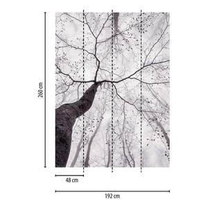 Fotomurale Foresta invernale Tessuto non tessuto - Nero / Bianco - 1,92cm x 2,6cm